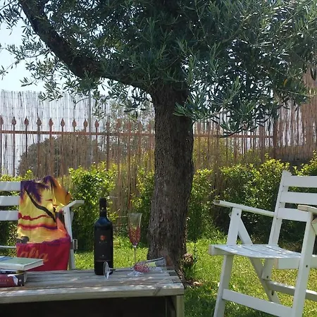 I Colori Del Sole *
